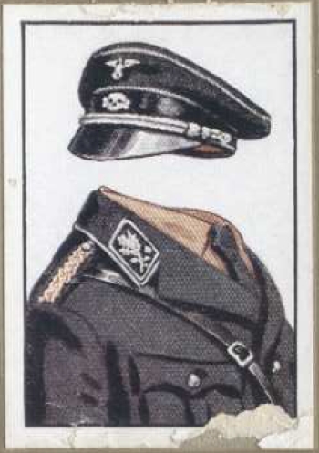 Very Early Standartenfuhrer Collar Tabs