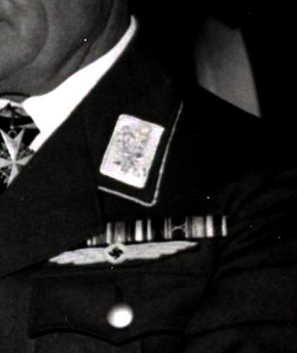 Very Early Standartenfuhrer Collar Tabs