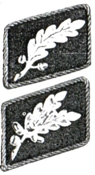 Very Early Standartenfuhrer Collar Tabs