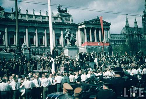 Reichsführung-SS cuff title