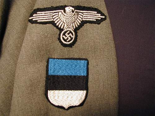 Estonian SS volunteers and history