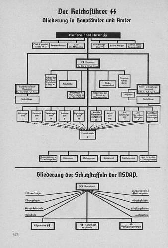 Organization of the SS from Org. buch. NSDAP