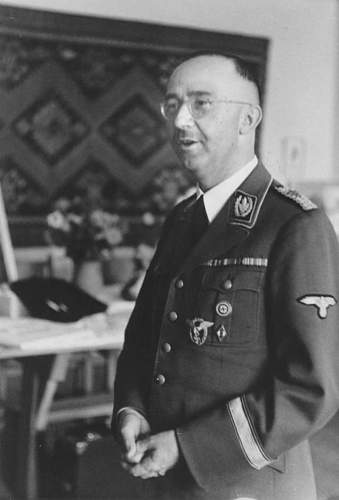 Himmler in early years