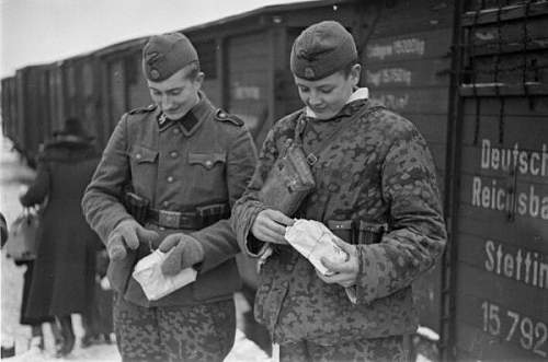 Estonian SS volunteers and history