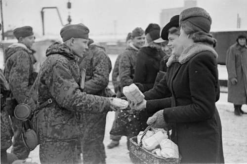 Estonian SS volunteers and history