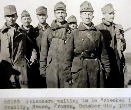 New ww1 Austrian/German helmet