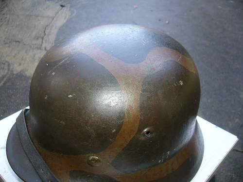 German turtle camo helmet