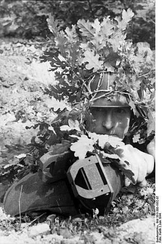 The German Stahlhelm (period photos)