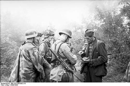 The German Stahlhelm (period photos)