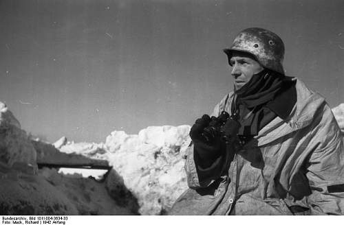 The German Stahlhelm (period photos)