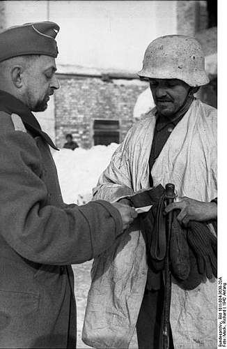 The German Stahlhelm (period photos)