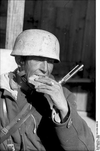 The German Stahlhelm (period photos)