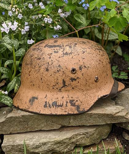 2021 German Steel Helmet of the year