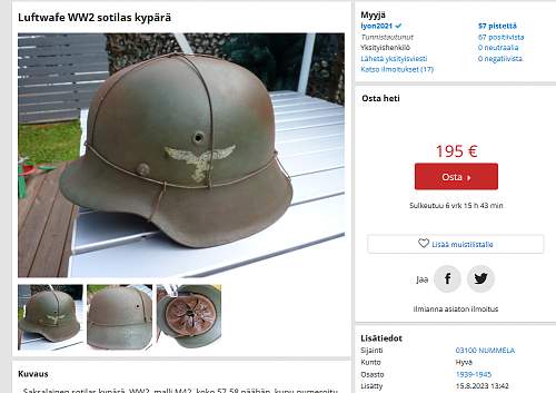 Thoughts about this DD M42 Helmet?