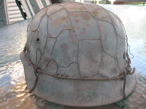 Chicken Wire Helmet, What do you Think ?