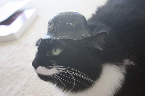 German Wedding Helmet