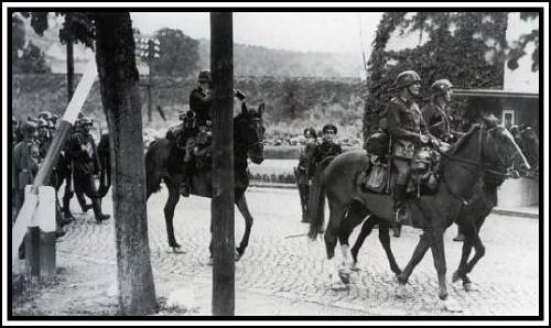 Heimwehr Danzig helmet