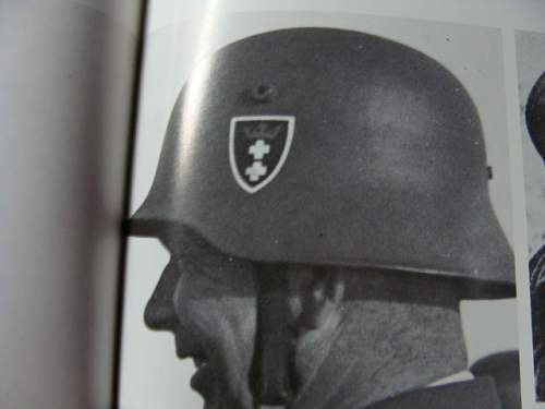 Heimwehr Danzig helmet