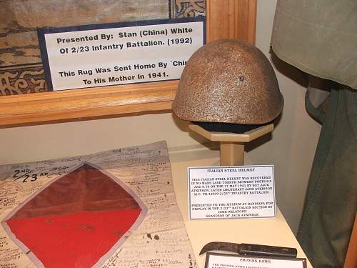 DAK M40 cammo helmet in a local museum.