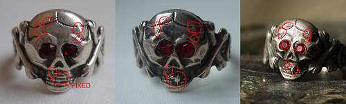 Panzer Skull Ring History Background