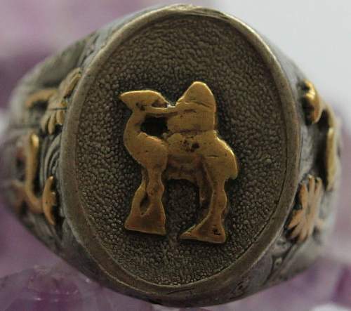 DAK/Italian Afrika Campaign Ring - Help!!