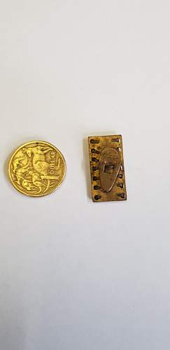 Unsure what this is? Italian ww2 pin?