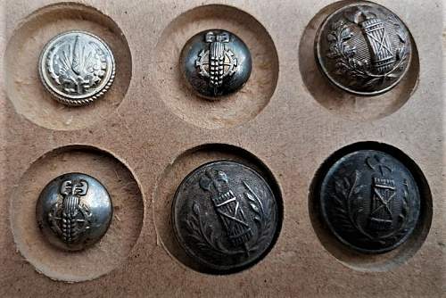 Chantiers de la jeunesse française, button.