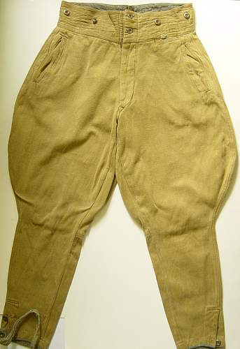 Sharovari breeches