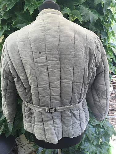 Identifying a telogreika jacket