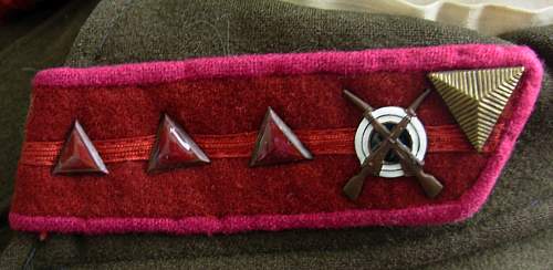 RKKA / NKVD collar insignia but what type?