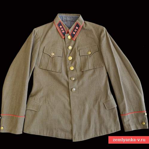 M1935 RKKA french tunic turned into Polish uniform?