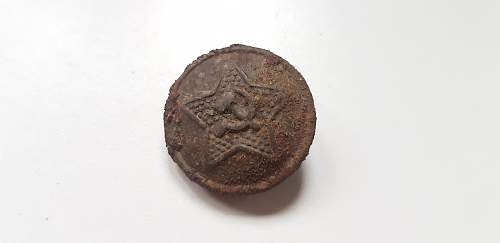 Button found in the Netherlands. Suprising metal detecting find.