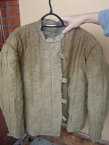 Identifying a telogreika jacket