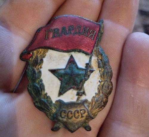 Interesting badge dug up Ukraine