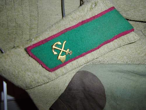 collar tabs M35 borderguard