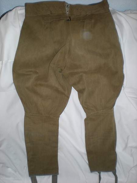 Sharovari breeches