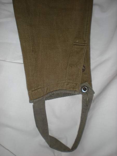 Sharovari breeches