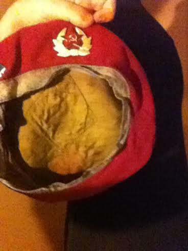 My Soviet beret collection