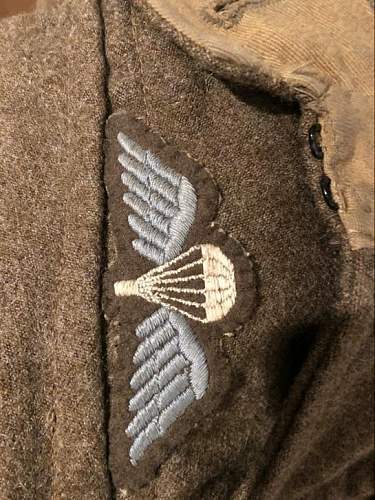 Opinion parachute wing