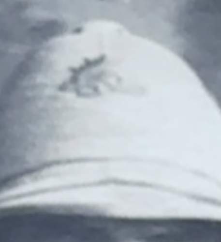 (WW1 era?) sun helmet badge ID