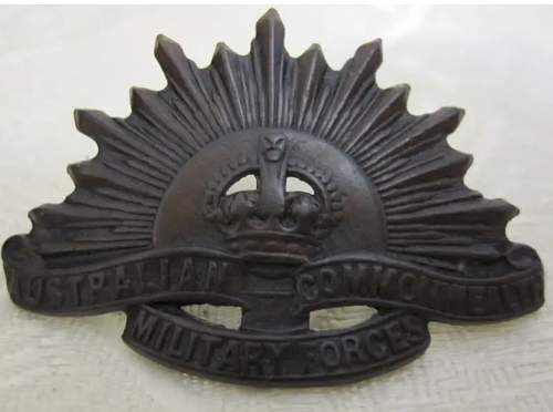 (WW1 era?) sun helmet badge ID