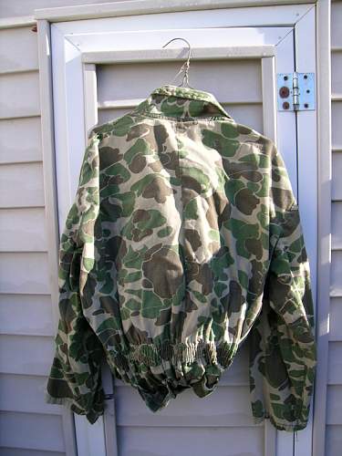 Click image for larger version. 

Name:	camo question.jpg 
Views:	N/A 
Size:	47.4 KB 
ID:	1721816