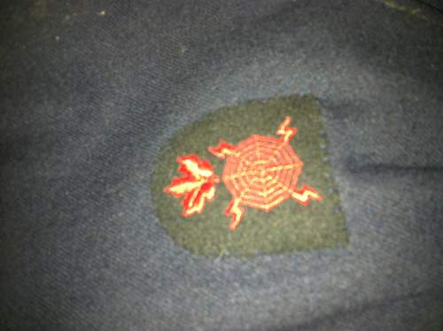 Mystery Raaf  Tunic need help