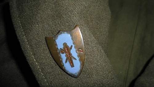 Need Help identifying PINs/PATCHes on uniform and garrison please