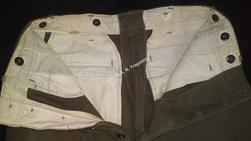 US Army OD trousers