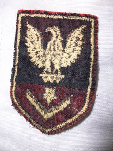 Can anyone identify this patch??