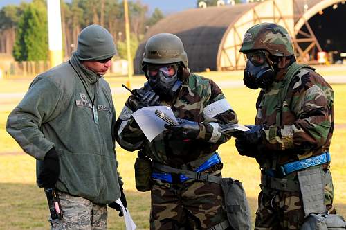 Helmet foliage band info needed