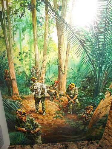 Fantasy ARVN Rangers M1