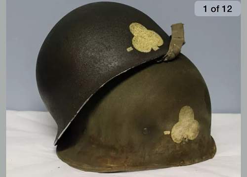 101st helmet with insignias!