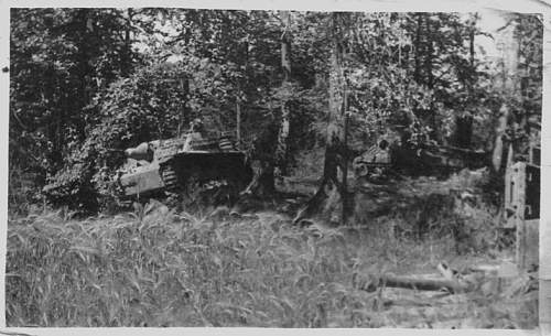 Canadian Sherman in Europe